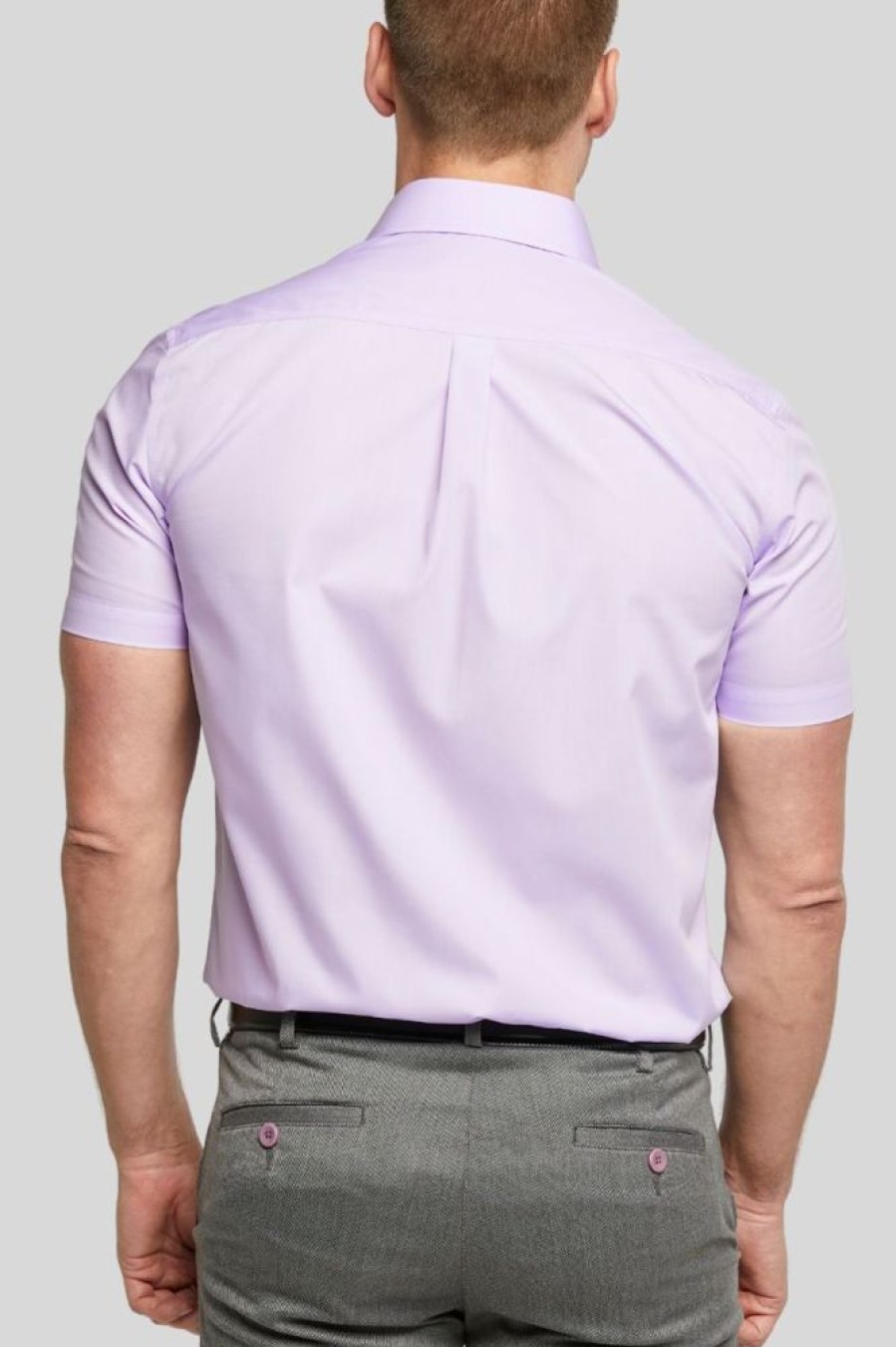 Shirts Double Two | Mauve Short Sleeve Non-Iron Shirt